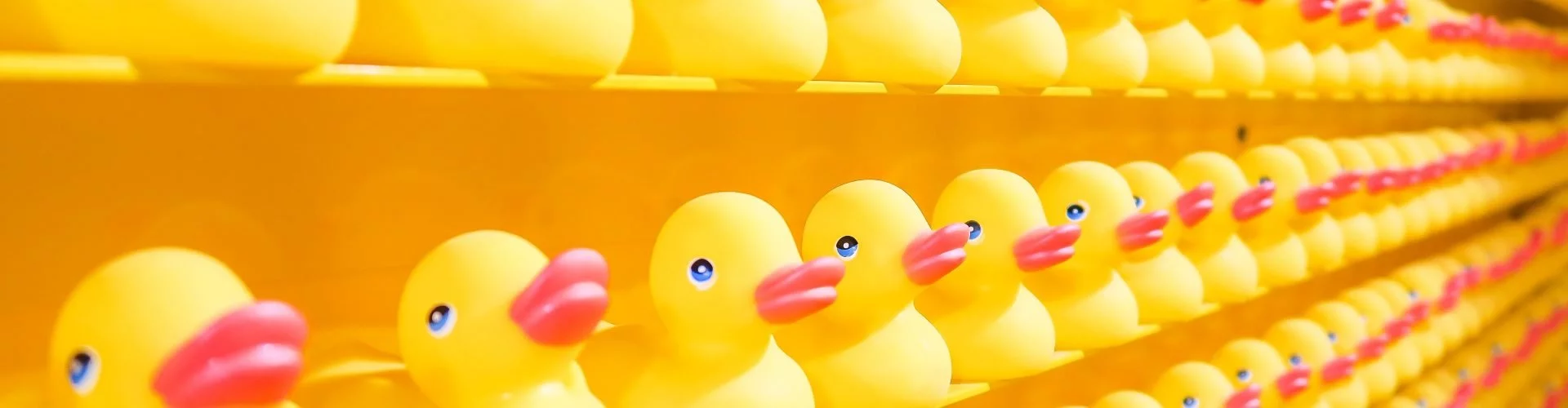 rows of rubber ducks