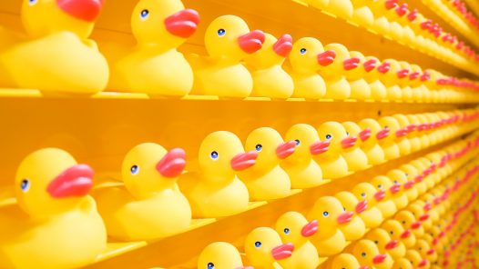 rows of rubber ducks