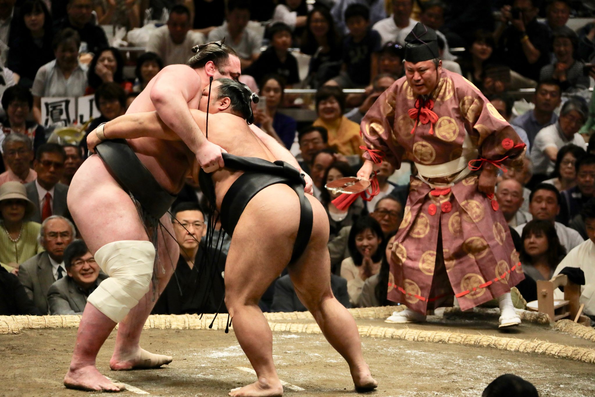 Sumo Japan's National Sport Spotlight English