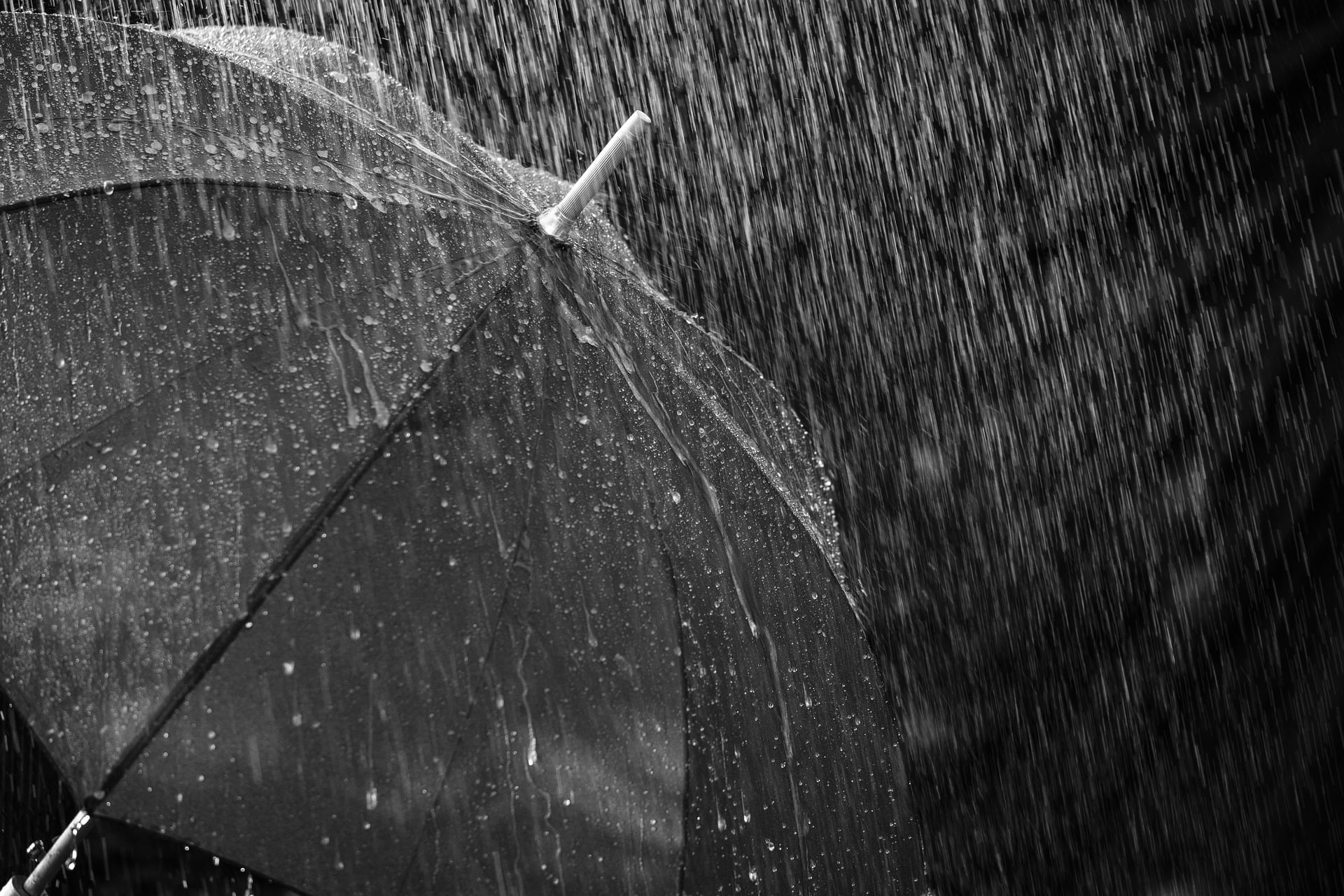 Ливень. Изображение дождя. Дождь зонт. Струи дождя.