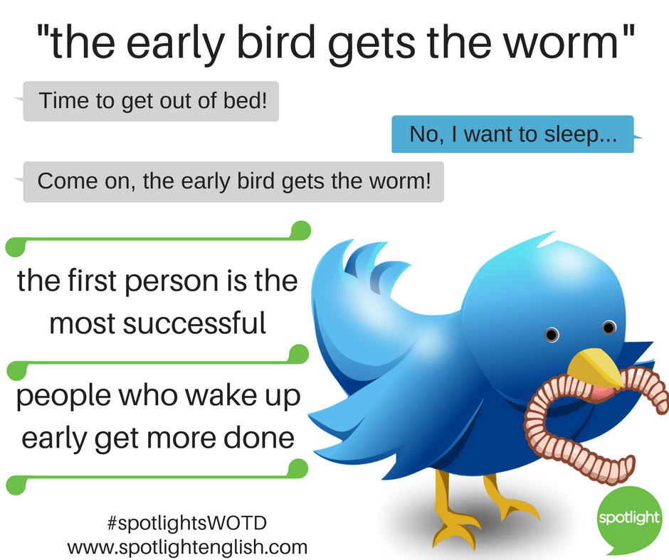 early bird gets the worm graphic