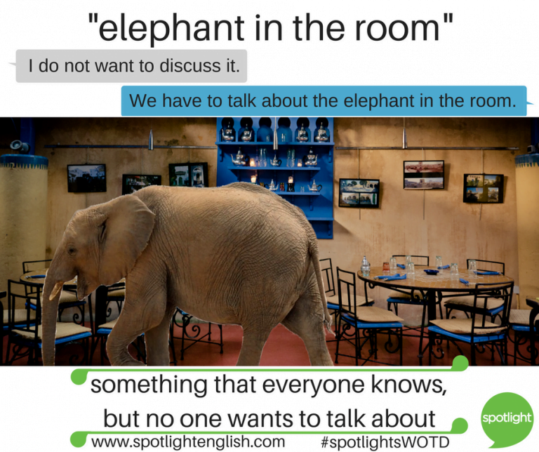 Five Animal Idioms in English Spotlight English