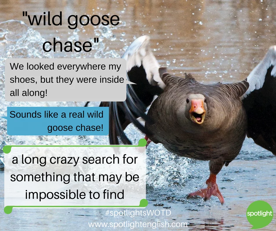Definition & Meaning of Wild goose chase