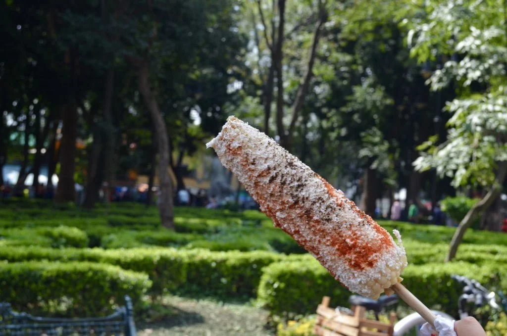 Elote